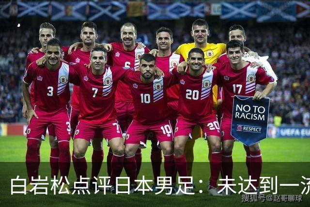 白岩松点评日本男足：未达到一流强队标准，仍需克服对荷兰的恐惧
