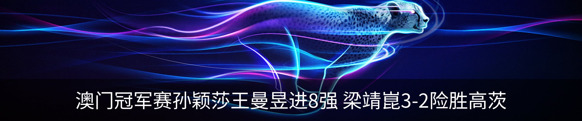 新闻动态