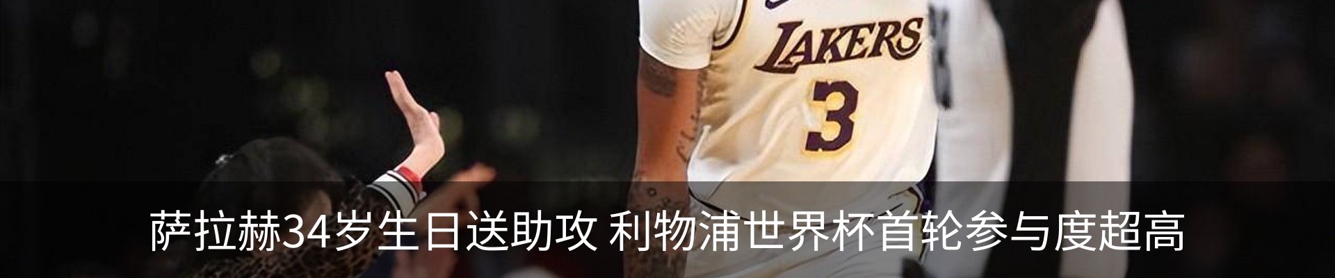 新闻动态