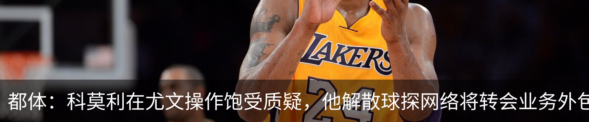 新闻动态